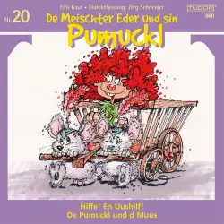 Cover - Various Artists - De Meischter Eder und sin Pumuckl - No. 20
