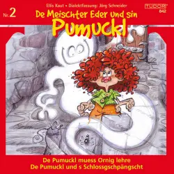 Cover - Various Artists - De Meischter Eder und sin Pumuckl, Vol. 2