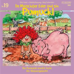 Cover - Various Artists - De Meischter Eder und sin Pumuckl - No. 19