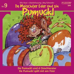 Cover - Various Artists - De Meischter Eder und sin Pumuckl, Vol. 9