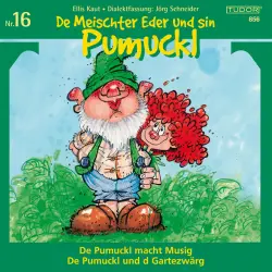 Cover - Various Artists - Kaut / Schneider: De Meischter Eder und sin Pumuckl, No. 16