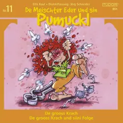 Cover - Various Artists - De Meischter Eder und sin Pumuckl, Vol. 11