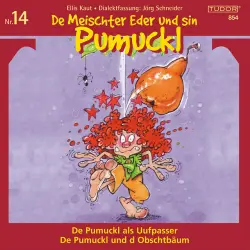 Cover - Various Artists - De Meischter Eder und sin Pumuckl, Vol. 14