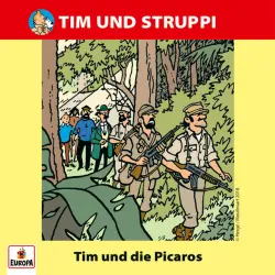 Cover - Tim & Struppi - 010/Tim und die Picaros