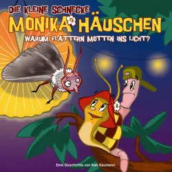Cover - Die kleine Schnecke Monika Häuschen - 17: Warum flattern Motten ins Licht