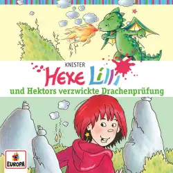 Cover - Hexe Lilli - 017/und Hektors verzwickte Drachenprüfung