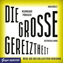 Cover - Bernhard Pörksen - Die große Gereiztheit. Wege aus der kollektiven Erregung (Ungekürzt)