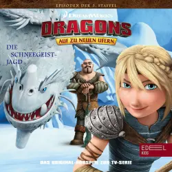 Cover - Dragons - Auf zu neuen Ufern - Folge 29: Lebenslange Schuld / Die Schneegeist-Jagd (Das Original-Hörspiel zur TV-Serie)