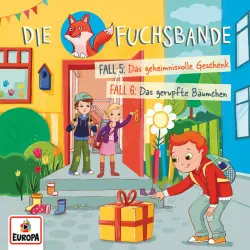 Cover - Die Fuchsbande - Folge 3 - Fall 5: Das geheimnisvolle Geschenk / Fall 6: Das gerupfte Bäumchen
