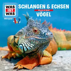 Cover - Was Ist Was - 48: Schlangen & Echsen / Vögel
