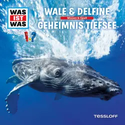 Cover - Was Ist Was - 13: Wale & Delfine / Geheimnis Tiefsee