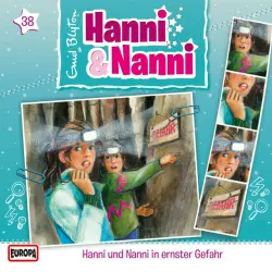 Cover - Hanni und Nanni - 38/in ernster Gefahr