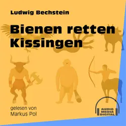 Cover - Ludwig Bechstein - Bienen retten Kissingen