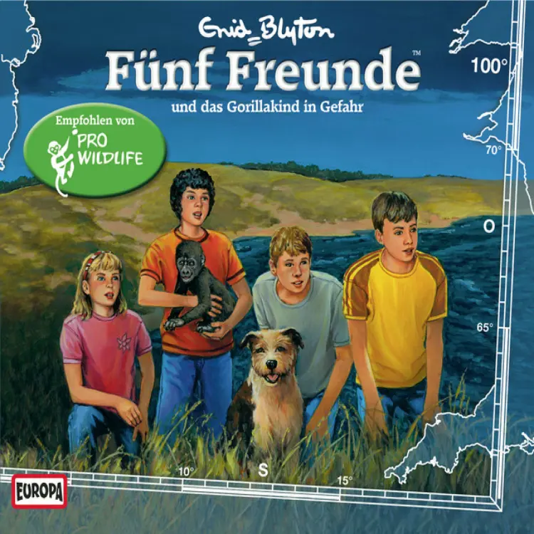 Cover von Fünf Freunde - 100/und das Gorillakind in Gefahr