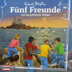 Cover - Fünf Freunde - 096/und das gefährliche Treibgut