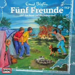 Cover - Fünf Freunde - 113/und das Feuer auf der Felseninsel