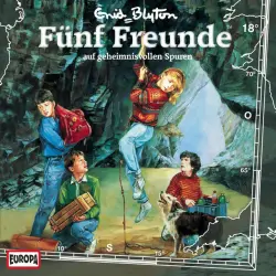 Cover - Fünf Freunde - 018/auf geheimnisvollen Spuren