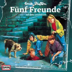 Cover - Fünf Freunde - 016/auf dem Leuchtturm
