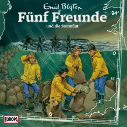 Cover - Fünf Freunde - 094/und die Sturmflut