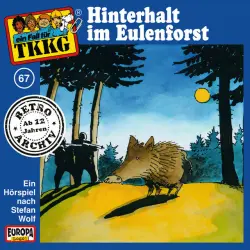 Cover - TKKG Retro-Archiv - 067/Hinterhalt im Eulenforst