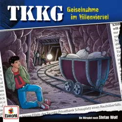 Cover - TKKG - 211/Geiselnahme im Villenviertel