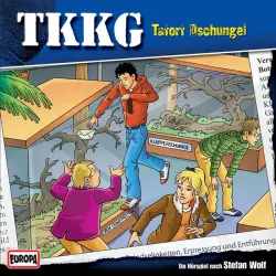 Cover - TKKG - 169/Tatort Dschungel