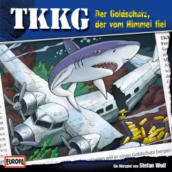 Cover - TKKG - 122/Der Goldschatz, der vom Himmel fiel