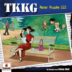 Cover - TKKG - Folge 222: Roter Drache 222