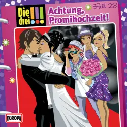 Cover - Die drei !!! - 028/Achtung, Promihochzeit!