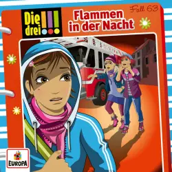 Cover - Die drei !!! - 063/Flammen in der Nacht