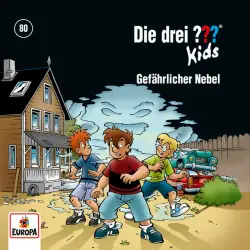 Cover - Die drei ??? Kids - 080/Gefährlicher Nebel