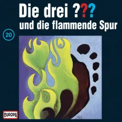 Cover - Die drei ??? - 020/und die flammende Spur