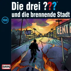 Cover - Die drei ??? - 166/und die brennende Stadt