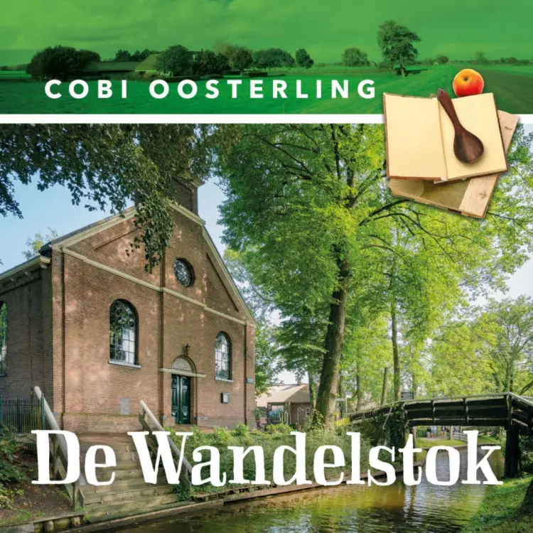 Cover von Cobi Oosterling - De wandelstok
