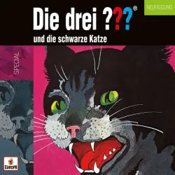 Cover - Die drei ??? - Und die schwarze Katze