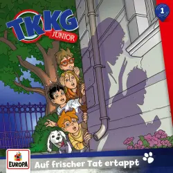 Cover - TKKG Junior - Folge 1: Auf frischer Tat ertappt