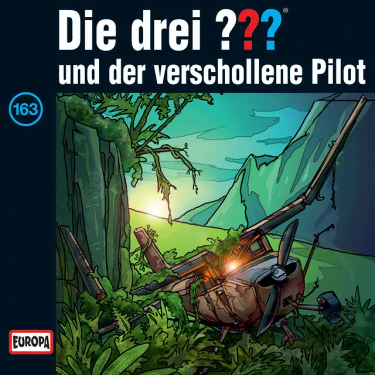 Cover von Die drei ??? - 163/und der verschollene Pilot