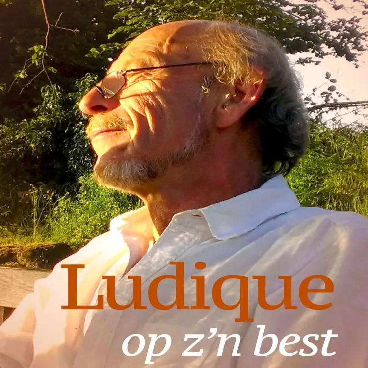 Cover von Ludique le Vert - Ludique op z'n best
