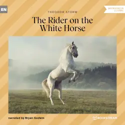 Cover - Theodor Storm - The Rider on the White Horse