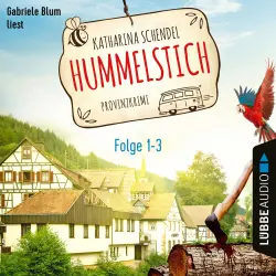 Cover - Hummelstich - Sammelband 1 - Folge 1-3