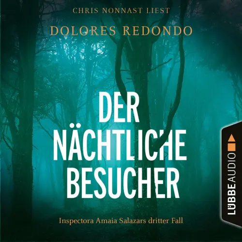 Cover von Dolores Redondo - Die Baztán-Trilogie - Teil 3 - Der nächtliche Besucher - Inspectora Amaia Salazars dritter Fall