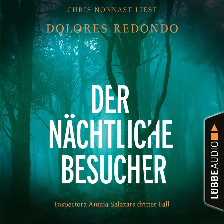 Cover von Dolores Redondo - Die Baztán-Trilogie - Teil 3 - Der nächtliche Besucher - Inspectora Amaia Salazars dritter Fall
