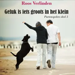Cover - Roos Verlinden - Partenspelers - Deel 3 - Geluk is iets groots in het klein