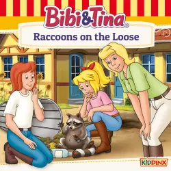 Cover - Bibi and Tina - Raccoons on the Loose