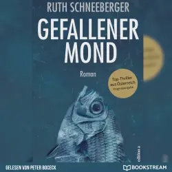Cover - Ruth Schneeberger - Gefallener Mond - Roman