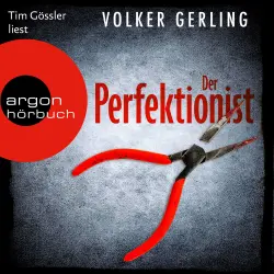 Cover - Volker Gerling - Laura Graf-Reihe - Band 1 - Der Perfektionist