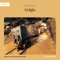 Cover - Robert Musil - Grigia