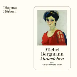 Cover - Michel Bergmann - Mameleben - oder das gestohlene Glück