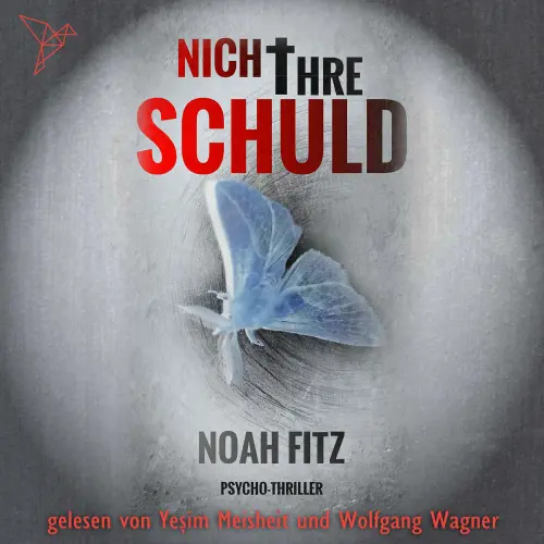 Cover - Noah Fitz - Johannes-Hornoff-Thriller - Band 1 - Nicht ihre Schuld