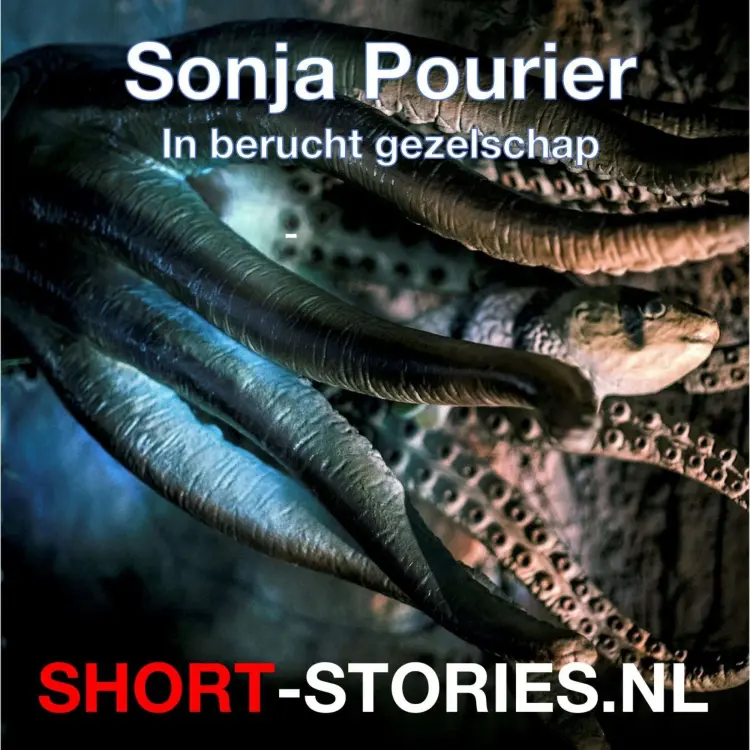 Cover von Aare Mare Stein - In berucht gezelschap